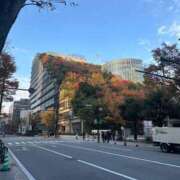 ヒメ日記 2024/12/08 15:21 投稿 新人・芹香(せりか) グランドオペラ福岡