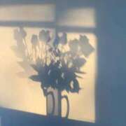 ヒメ日記 2024/12/12 14:48 投稿 新人・芹香(せりか) グランドオペラ福岡