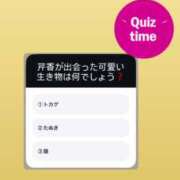 ヒメ日記 2024/12/17 21:35 投稿 新人・芹香(せりか) グランドオペラ福岡