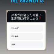 ヒメ日記 2024/12/18 00:41 投稿 新人・芹香(せりか) グランドオペラ福岡