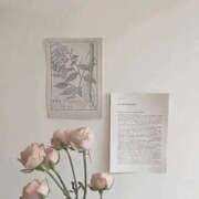 ヒメ日記 2024/12/25 09:41 投稿 新人・芹香(せりか) グランドオペラ福岡