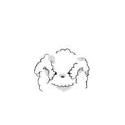 ヒメ日記 2025/01/04 06:11 投稿 新人・芹香(せりか) グランドオペラ福岡