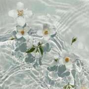 ヒメ日記 2025/01/07 08:31 投稿 新人・芹香(せりか) グランドオペラ福岡