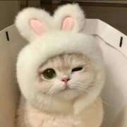 ヒメ日記 2025/01/08 00:51 投稿 新人・芹香(せりか) グランドオペラ福岡