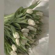 ヒメ日記 2025/01/16 09:41 投稿 新人・芹香(せりか) グランドオペラ福岡