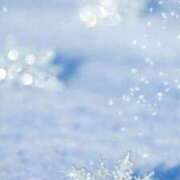 ヒメ日記 2025/01/16 17:21 投稿 新人・芹香(せりか) グランドオペラ福岡