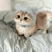 ヒメ日記 2025/01/17 09:33 投稿 新人・芹香(せりか) グランドオペラ福岡