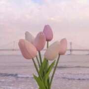 ヒメ日記 2025/01/20 09:32 投稿 新人・芹香(せりか) グランドオペラ福岡