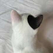 ヒメ日記 2025/01/23 13:18 投稿 新人・芹香(せりか) グランドオペラ福岡