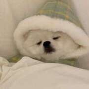 ヒメ日記 2025/02/22 08:41 投稿 新人・芹香(せりか) グランドオペラ福岡