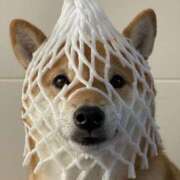 ヒメ日記 2025/02/24 15:51 投稿 新人・芹香(せりか) グランドオペラ福岡