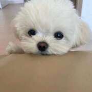 ヒメ日記 2025/03/01 09:41 投稿 新人・芹香(せりか) グランドオペラ福岡