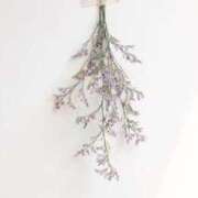 ヒメ日記 2025/03/19 23:00 投稿 新人・芹香(せりか) グランドオペラ福岡