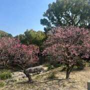 ヒメ日記 2025/03/23 12:27 投稿 新人・芹香(せりか) グランドオペラ福岡