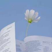 ヒメ日記 2025/04/04 19:51 投稿 新人・芹香(せりか) グランドオペラ福岡