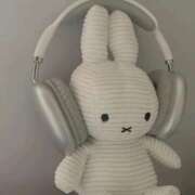 ヒメ日記 2025/04/24 10:35 投稿 新人・芹香(せりか) グランドオペラ福岡