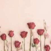 ヒメ日記 2025/06/13 14:21 投稿 新人・芹香(せりか) グランドオペラ福岡