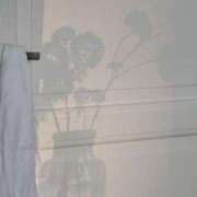 ヒメ日記 2025/07/06 17:02 投稿 新人・芹香(せりか) グランドオペラ福岡