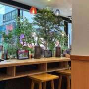 ヒメ日記 2025/07/16 15:24 投稿 新人・芹香(せりか) グランドオペラ福岡