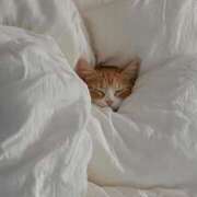 ヒメ日記 2025/07/24 14:38 投稿 新人・芹香(せりか) グランドオペラ福岡