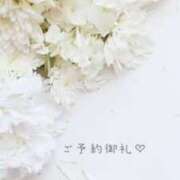 ヒメ日記 2025/08/04 01:41 投稿 新人・芹香(せりか) グランドオペラ福岡