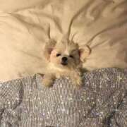 ヒメ日記 2025/11/14 08:01 投稿 新人・芹香(せりか) グランドオペラ福岡