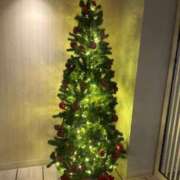 ヒメ日記 2025/11/19 22:48 投稿 新人・芹香(せりか) グランドオペラ福岡