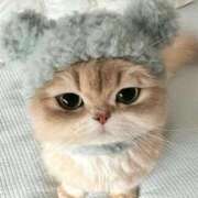 ヒメ日記 2025/11/25 00:46 投稿 新人・芹香(せりか) グランドオペラ福岡