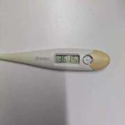 ヒメ日記 2026/03/01 13:37 投稿 チカ(奥方) 奥様幕府