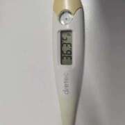 ヒメ日記 2026/03/29 13:09 投稿 チカ(奥方) 奥様幕府