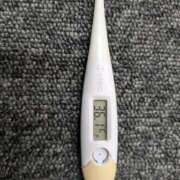 ヒメ日記 2026/03/31 12:17 投稿 チカ(奥方) 奥様幕府