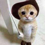 ヒメ日記 2026/03/31 19:59 投稿 チカ(奥方) 奥様幕府