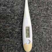 ヒメ日記 2026/04/04 12:27 投稿 チカ(奥方) 奥様幕府