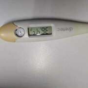 チカ(奥方) お知らせです☘️ 奥様幕府