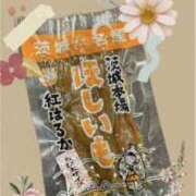 ヒメ日記 2025/03/02 18:46 投稿 まつり クンニ専門店 おクンニ学園 池袋校