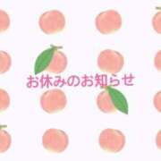 ヒメ日記 2024/10/16 12:45 投稿 柏木 もも ハレ系 福岡DEまっとる。