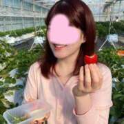 ヒメ日記 2025/11/23 00:06 投稿 ふみ 変態なんでも鑑定団