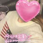 ヒメ日記 2024/12/10 16:45 投稿 せりな 横浜コスプレデビュー（シンデレラグループ）