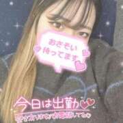 ヒメ日記 2024/12/28 16:11 投稿 せりな 横浜コスプレデビュー（シンデレラグループ）