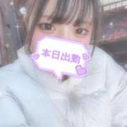 ヒメ日記 2025/01/19 11:40 投稿 せりな 横浜コスプレデビュー（シンデレラグループ）