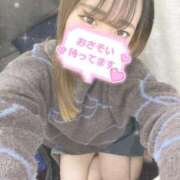 ヒメ日記 2025/02/05 07:31 投稿 せりな 横浜コスプレデビュー（シンデレラグループ）