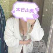 ヒメ日記 2025/02/10 17:58 投稿 せりな 横浜コスプレデビュー（シンデレラグループ）