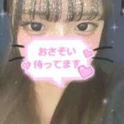 ヒメ日記 2025/02/17 23:26 投稿 せりな 横浜コスプレデビュー（シンデレラグループ）