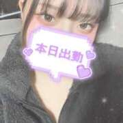 ヒメ日記 2025/02/21 18:42 投稿 せりな 横浜コスプレデビュー（シンデレラグループ）