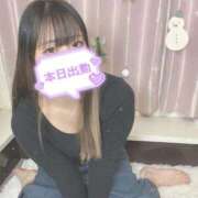 ヒメ日記 2025/03/01 12:59 投稿 せりな 横浜コスプレデビュー（シンデレラグループ）