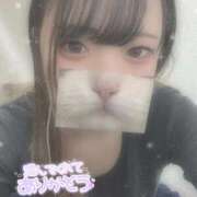 ヒメ日記 2025/03/16 04:01 投稿 せりな 横浜コスプレデビュー（シンデレラグループ）