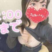 ヒメ日記 2025/03/17 19:41 投稿 せりな 横浜コスプレデビュー（シンデレラグループ）