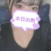 ヒメ日記 2025/03/21 13:46 投稿 せりな 横浜コスプレデビュー（シンデレラグループ）