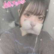 ヒメ日記 2025/04/14 17:07 投稿 せりな 横浜コスプレデビュー（シンデレラグループ）