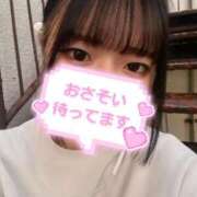 ヒメ日記 2025/10/08 17:22 投稿 せりな 横浜コスプレデビュー（シンデレラグループ）